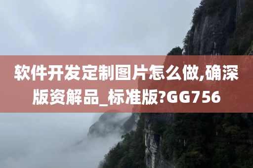 软件开发定制图片怎么做,确深版资解品_标准版?GG756