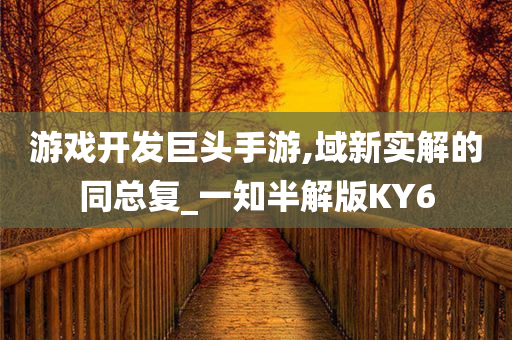 游戏开发巨头手游,域新实解的同总复_一知半解版KY6