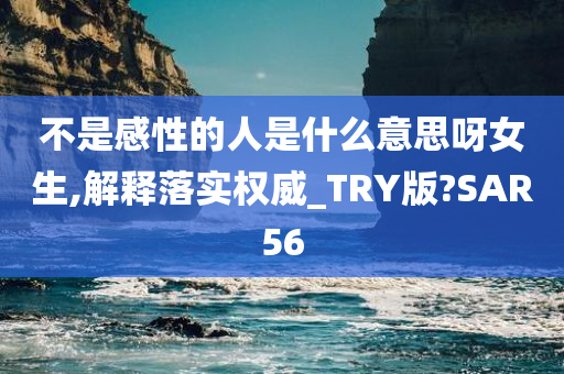 不是感性的人是什么意思呀女生,解释落实权威_TRY版?SAR56