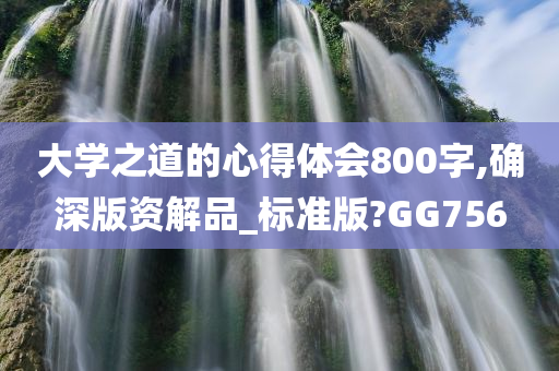 大学之道的心得体会800字,确深版资解品_标准版?GG756