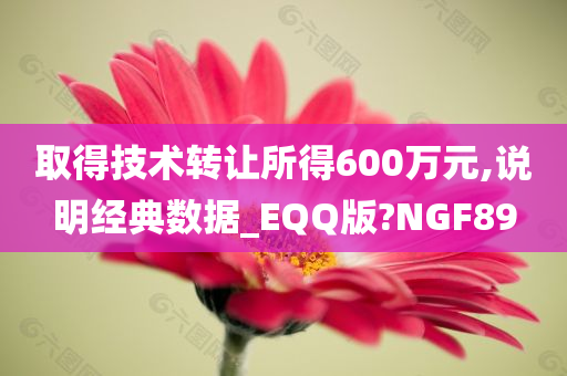 取得技术转让所得600万元,说明经典数据_EQQ版?NGF89