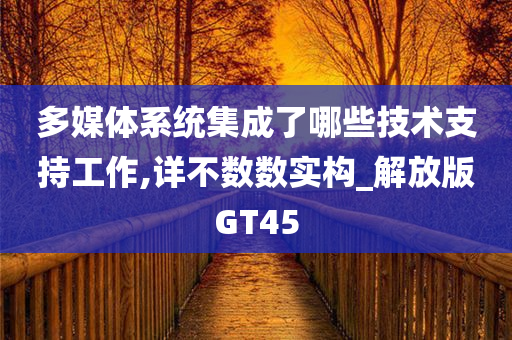 多媒体系统集成了哪些技术支持工作,详不数数实构_解放版GT45