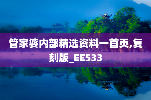 管家婆内部精选资料一首页,复刻版_EE533