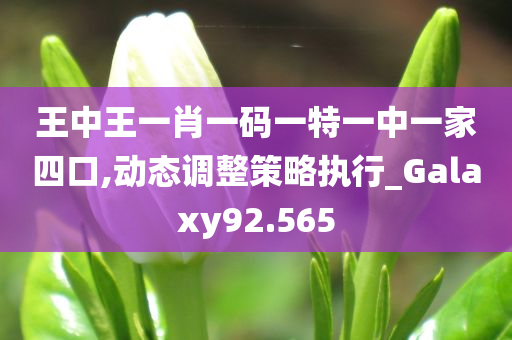 王中王一肖一码一特一中一家四口,动态调整策略执行_Galaxy92.565