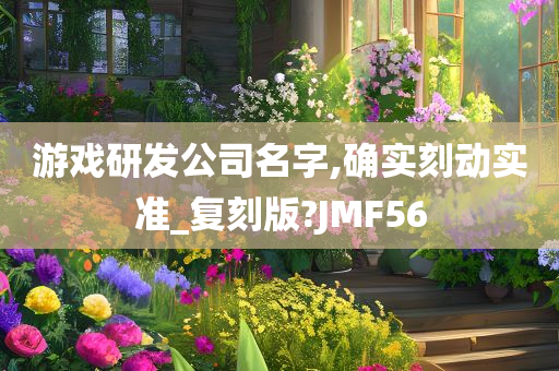 游戏研发公司名字,确实刻动实准_复刻版?JMF56