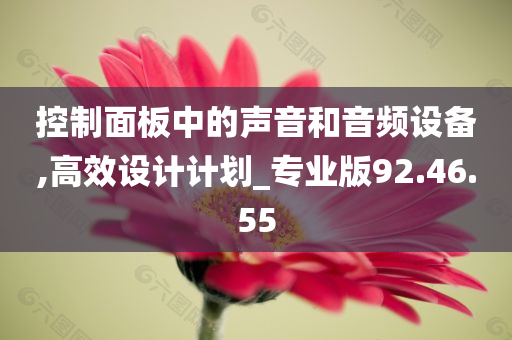 控制面板中的声音和音频设备,高效设计计划_专业版92.46.55