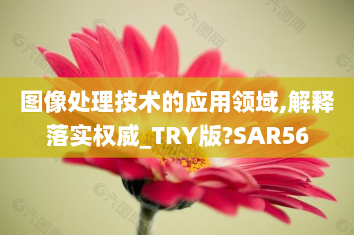 图像处理技术的应用领域,解释落实权威_TRY版?SAR56