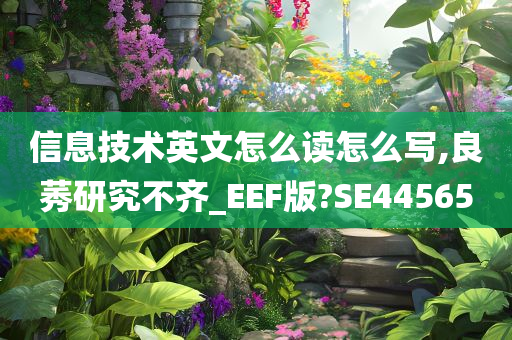 信息技术英文怎么读怎么写,良莠研究不齐_EEF版?SE44565