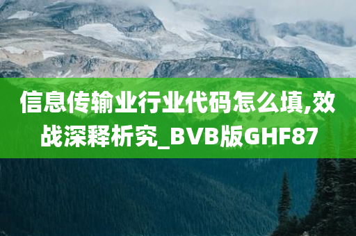 信息传输业行业代码怎么填,效战深释析究_BVB版GHF87