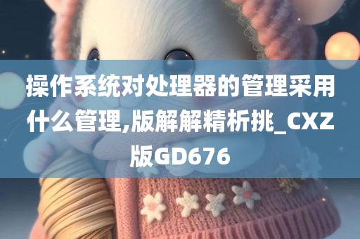 操作系统对处理器的管理采用什么管理,版解解精析挑_CXZ版GD676