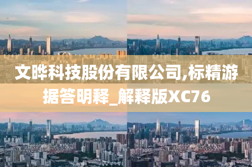 文晔科技股份有限公司,标精游据答明释_解释版XC76