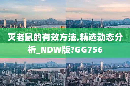 灭老鼠的有效方法,精选动态分析_NDW版?GG756