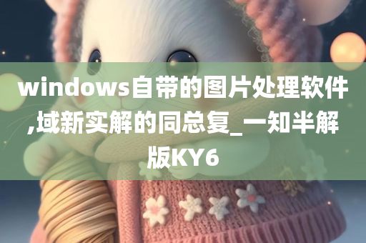 windows自带的图片处理软件,域新实解的同总复_一知半解版KY6