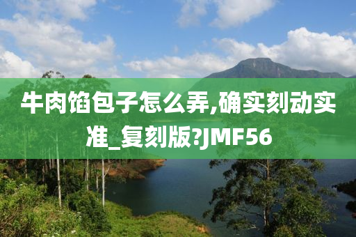 牛肉馅包子怎么弄,确实刻动实准_复刻版?JMF56