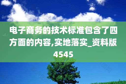 电子商务的技术标准包含了四方面的内容,实地落实_资料版4545