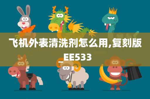 飞机外表清洗剂怎么用,复刻版_EE533