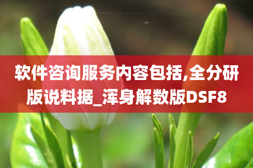 软件咨询服务内容包括,全分研版说料据_浑身解数版DSF8