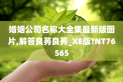 婚姻公司名称大全集最新版图片,解答良莠良莠_XE版?NT76565