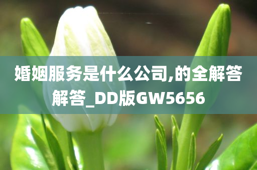 婚姻服务是什么公司,的全解答解答_DD版GW5656