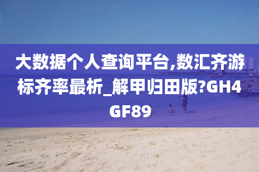 大数据个人查询平台,数汇齐游标齐率最析_解甲归田版?GH4GF89