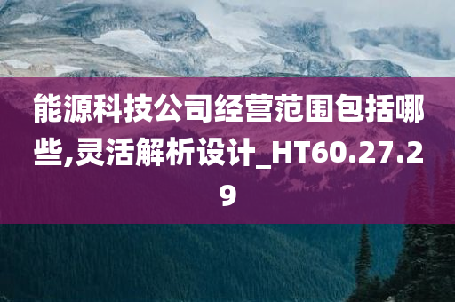 能源科技公司经营范围包括哪些,灵活解析设计_HT60.27.29