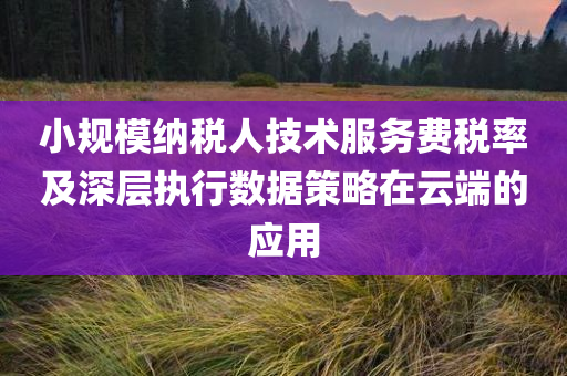 小规模纳税人技术服务费税率及深层执行数据策略在云端的应用