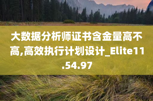 大数据分析师证书含金量高不高,高效执行计划设计_Elite11.54.97