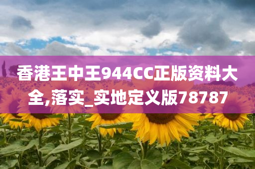 香港王中王944CC正版资料大全,落实_实地定义版78787