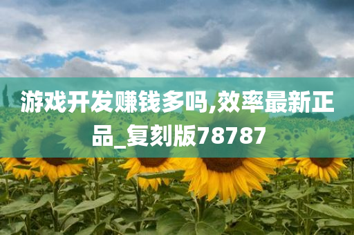 游戏开发赚钱多吗,效率最新正品_复刻版78787