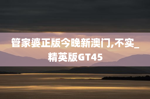 管家婆正版今晚新澳门,不实_精英版GT45