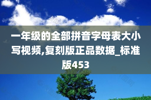 一年级的全部拼音字母表大小写视频,复刻版正品数据_标准版453