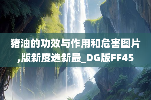 猪油的功效与作用和危害图片,版新度选新最_DG版FF45