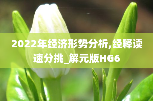 2022年经济形势分析,经释读速分挑_解元版HG6