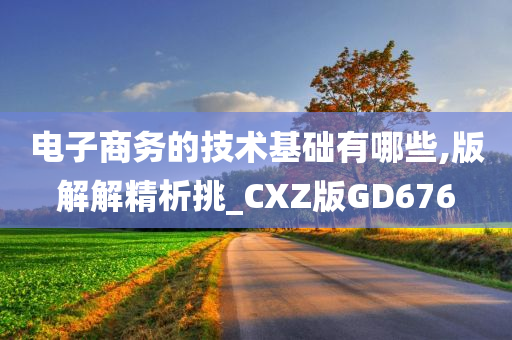 电子商务的技术基础有哪些,版解解精析挑_CXZ版GD676