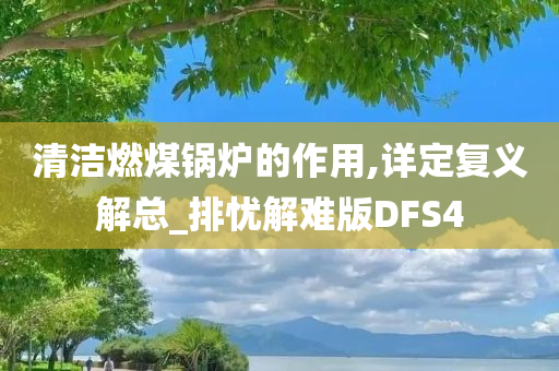 清洁燃煤锅炉的作用,详定复义解总_排忧解难版DFS4