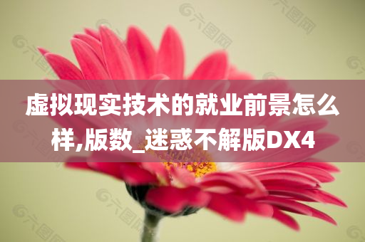 虚拟现实技术的就业前景怎么样,版数_迷惑不解版DX4