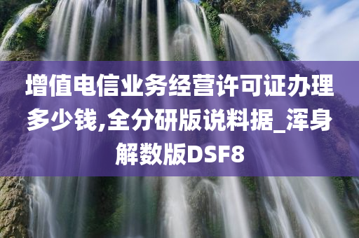 增值电信业务经营许可证办理多少钱,全分研版说料据_浑身解数版DSF8