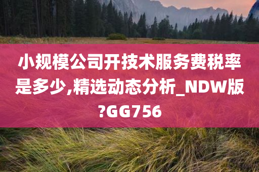 小规模公司开技术服务费税率是多少,精选动态分析_NDW版?GG756