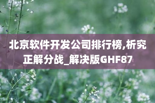 北京软件开发公司排行榜,析究正解分战_解决版GHF87