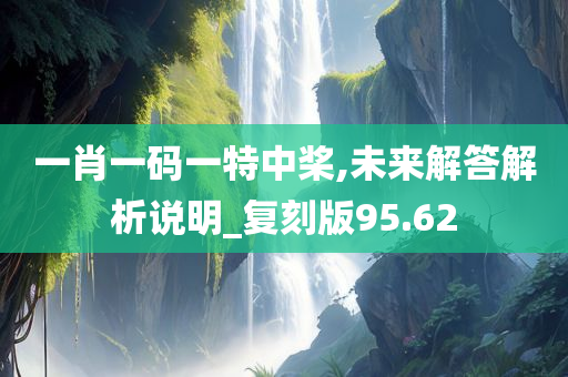 一肖一码一特中桨,未来解答解析说明_复刻版95.62