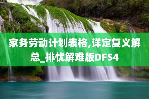 家务劳动计划表格,详定复义解总_排忧解难版DFS4