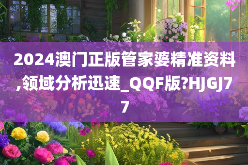 2024澳门正版管家婆精准资料,领域分析迅速_QQF版?HJGJ77