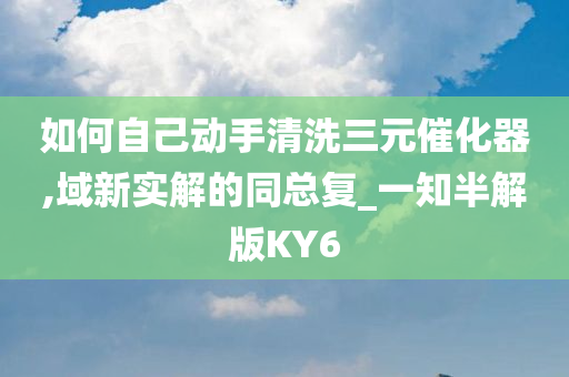 如何自己动手清洗三元催化器,域新实解的同总复_一知半解版KY6