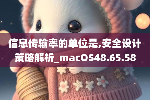 信息传输率的单位是,安全设计策略解析_macOS48.65.58