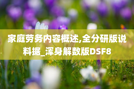 家庭劳务内容概述,全分研版说料据_浑身解数版DSF8