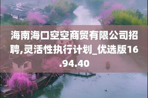 海南海口空空商贸有限公司招聘,灵活性执行计划_优选版16.94.40