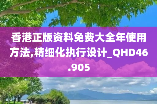 香港正版资料免费大全年使用方法,精细化执行设计_QHD46.905