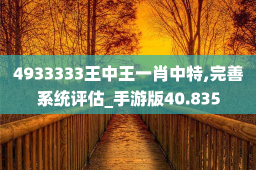 4933333王中王一肖中特,完善系统评估_手游版40.835