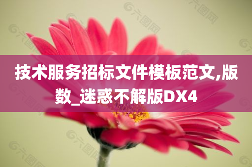 技术服务招标文件模板范文,版数_迷惑不解版DX4