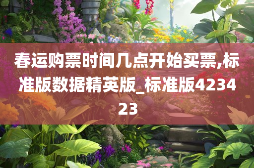 春运购票时间几点开始买票,标准版数据精英版_标准版423423